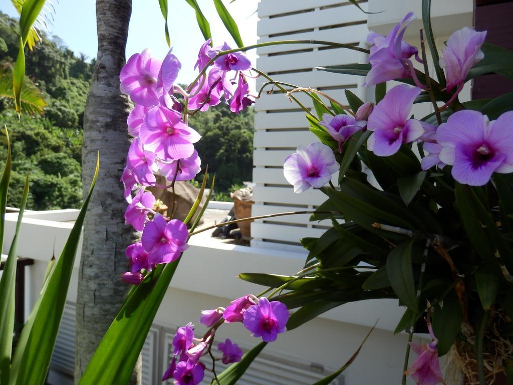 Kata Beach Studio Phuket Luaran gambar